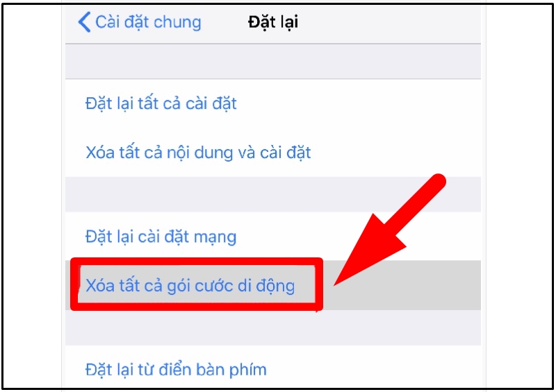 eSIM sẽ bị mất khi Xóa tất cả gói cước di động được chọn